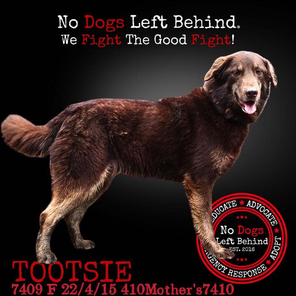 Tootsie 7409