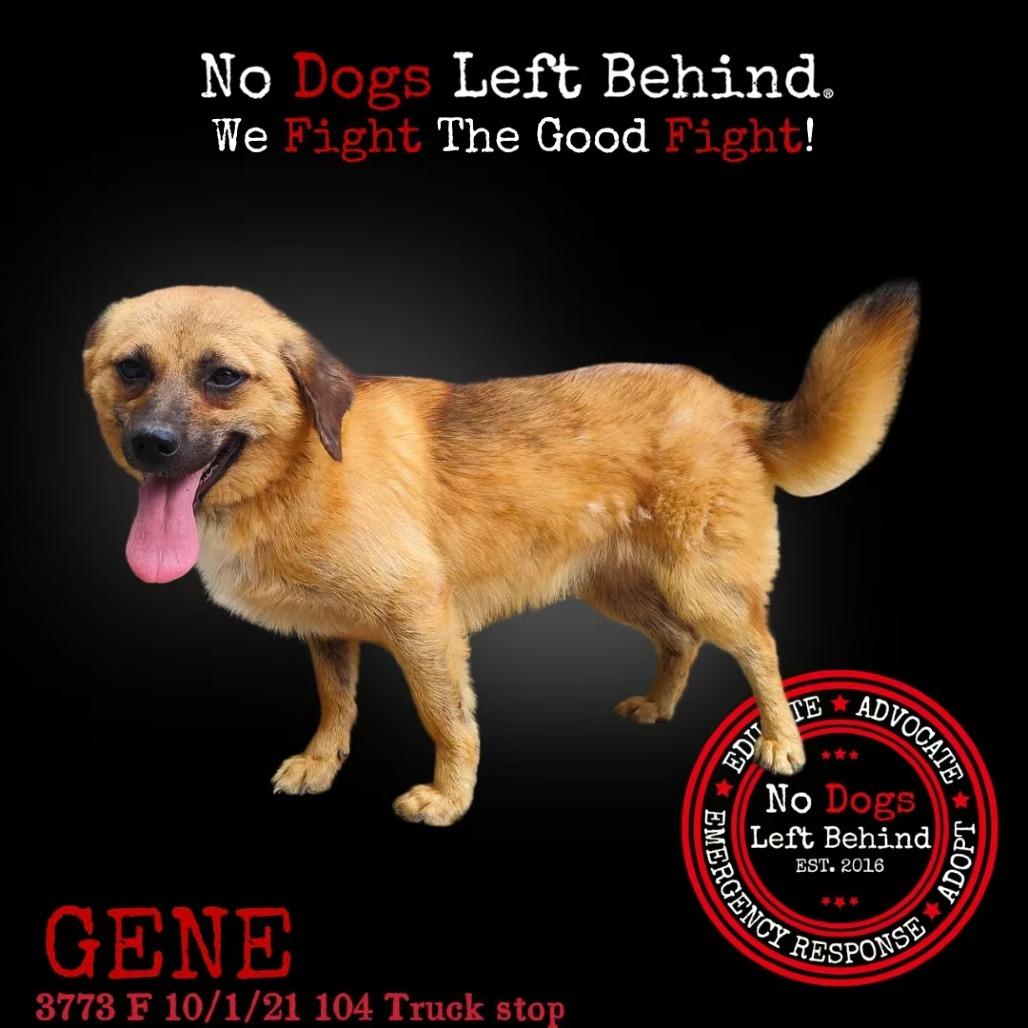 Gene 3773