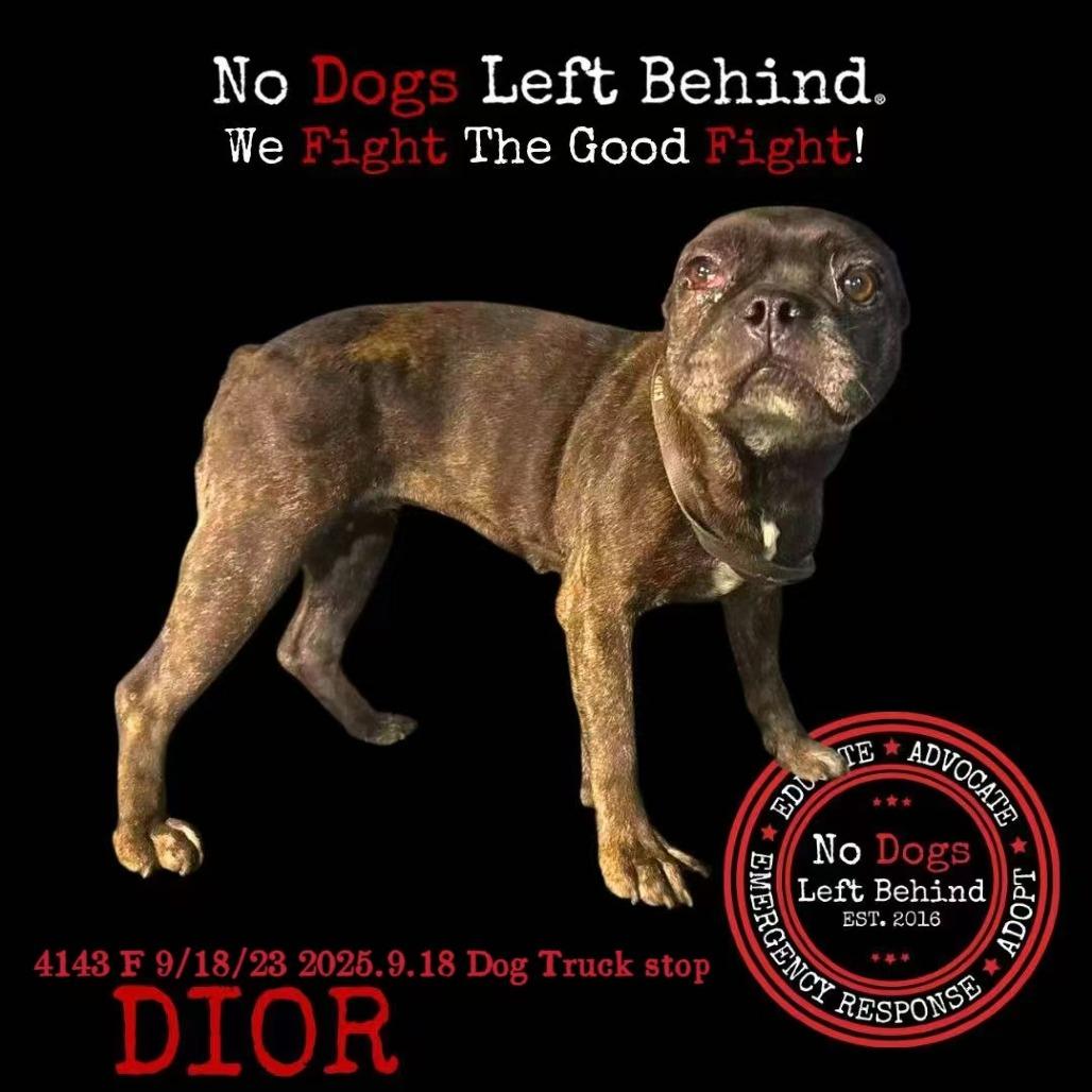 Dior 4143