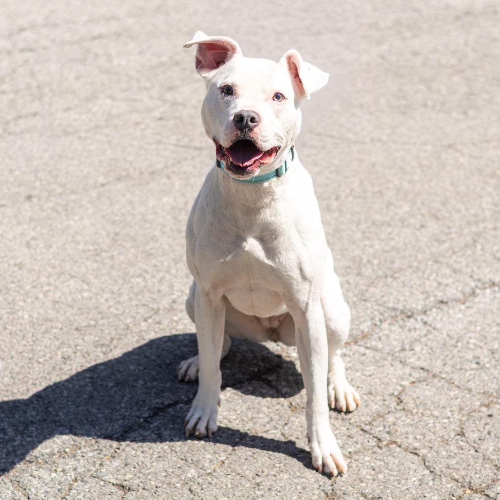 Pepper (fka Glimmer)