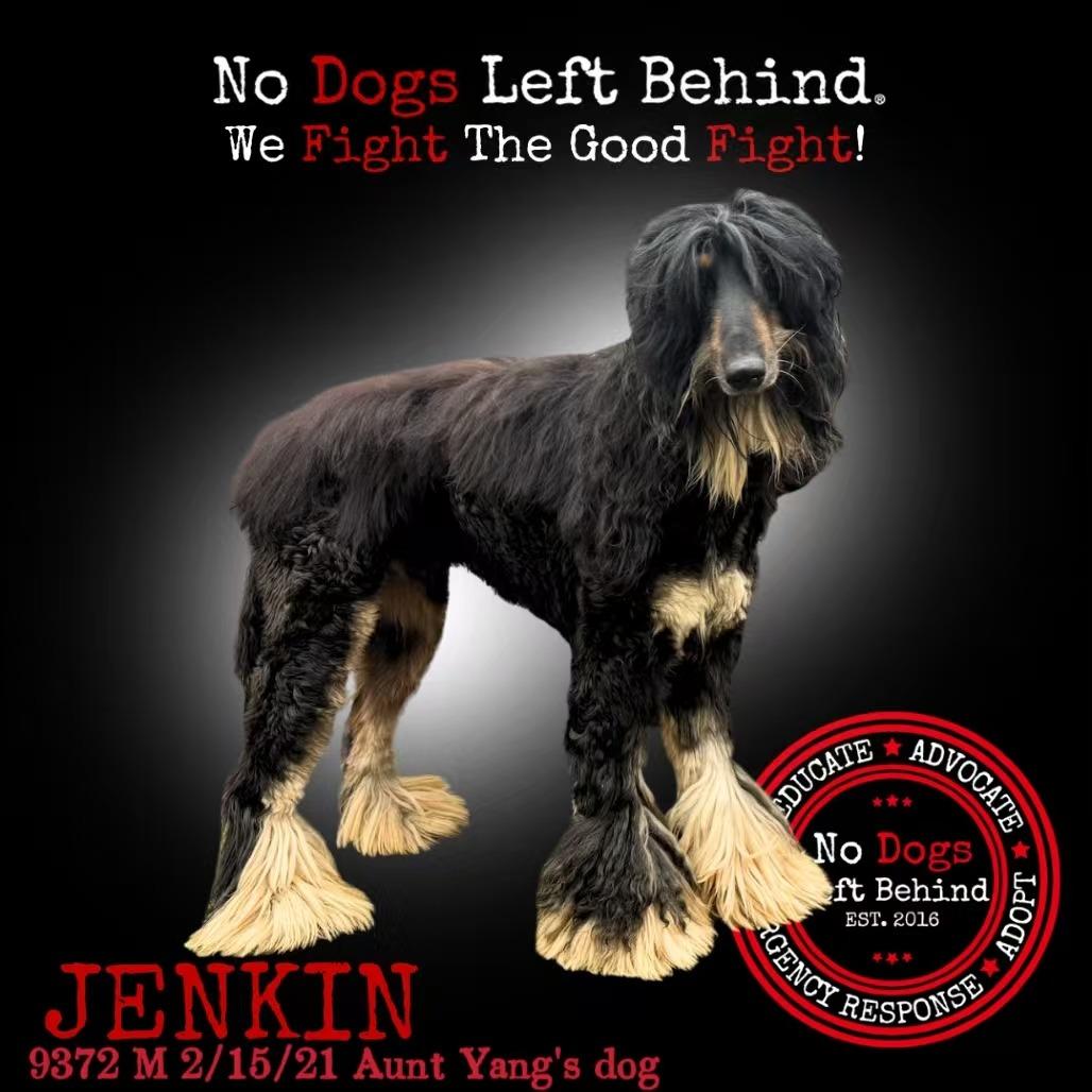 Jenkin 9372