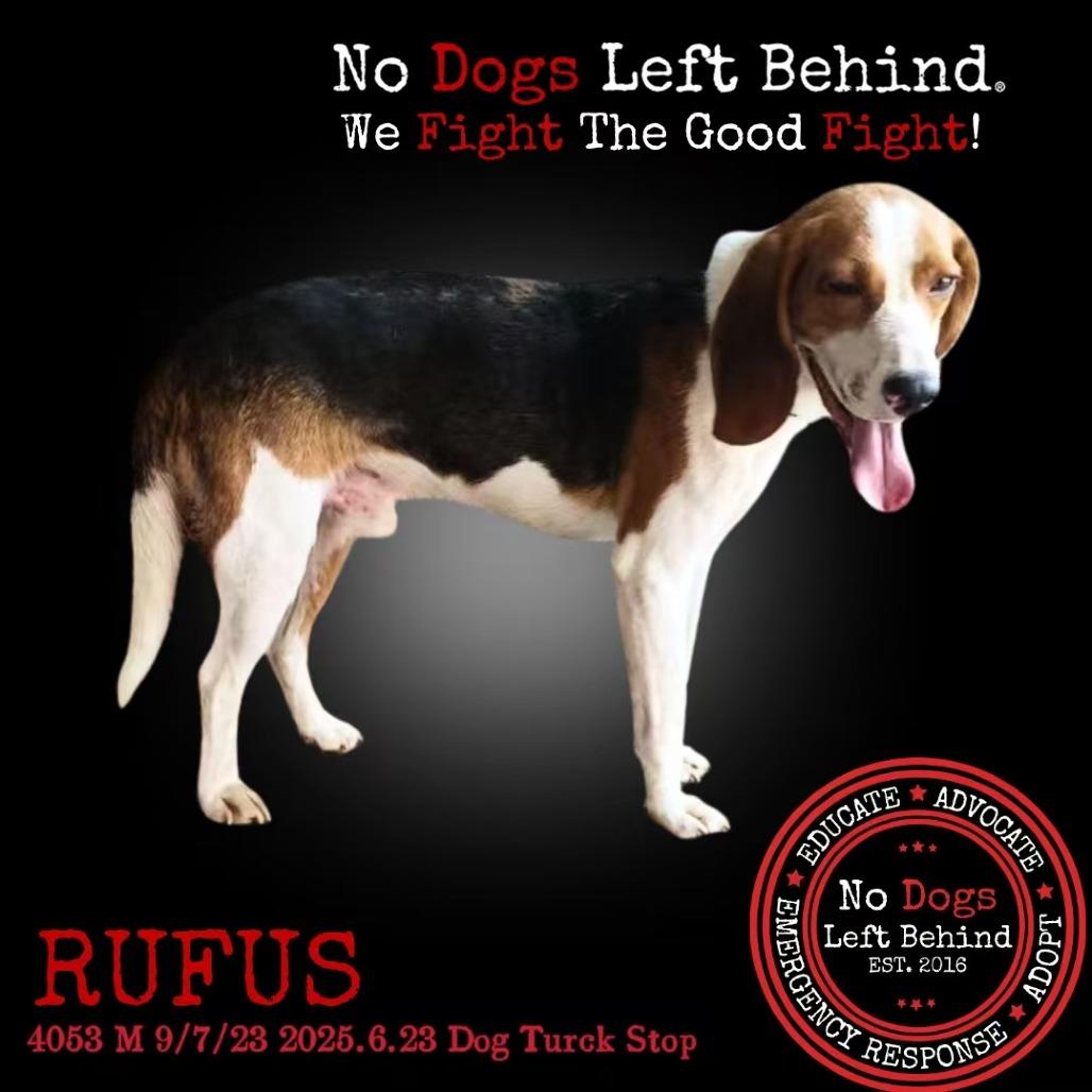 Rufus 4053