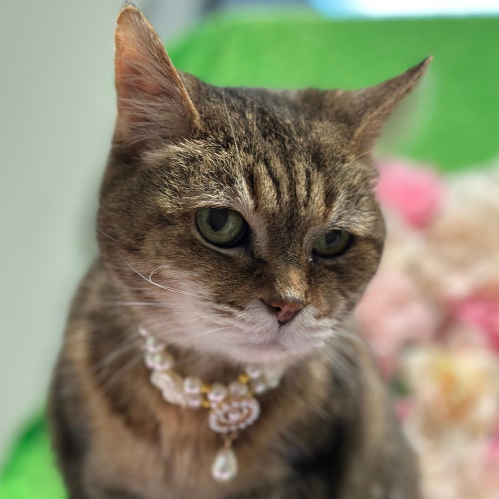 Fiona