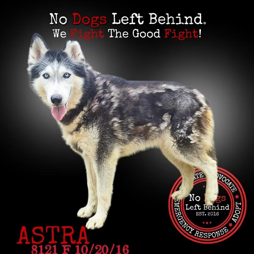 Astra 8121
