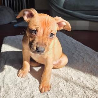 Inner Struggle-In Foster