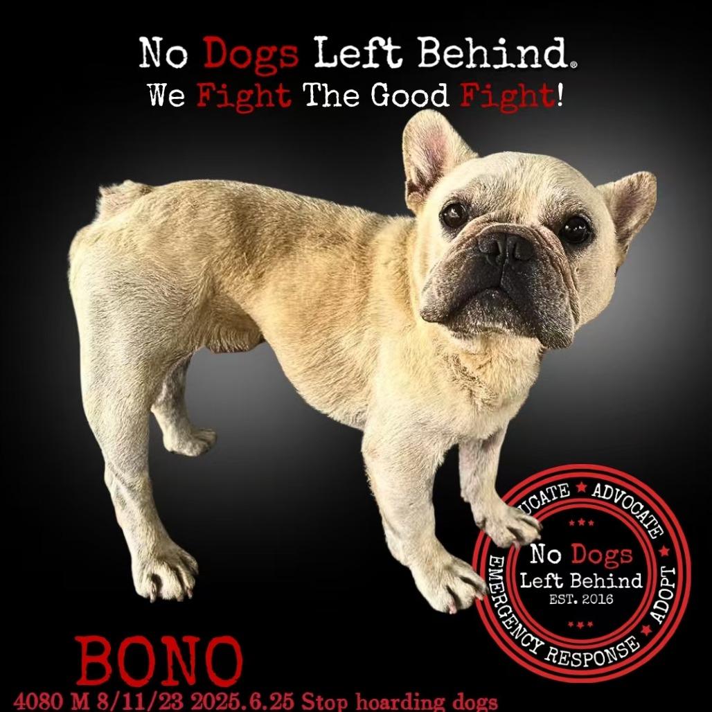 Bono 4080