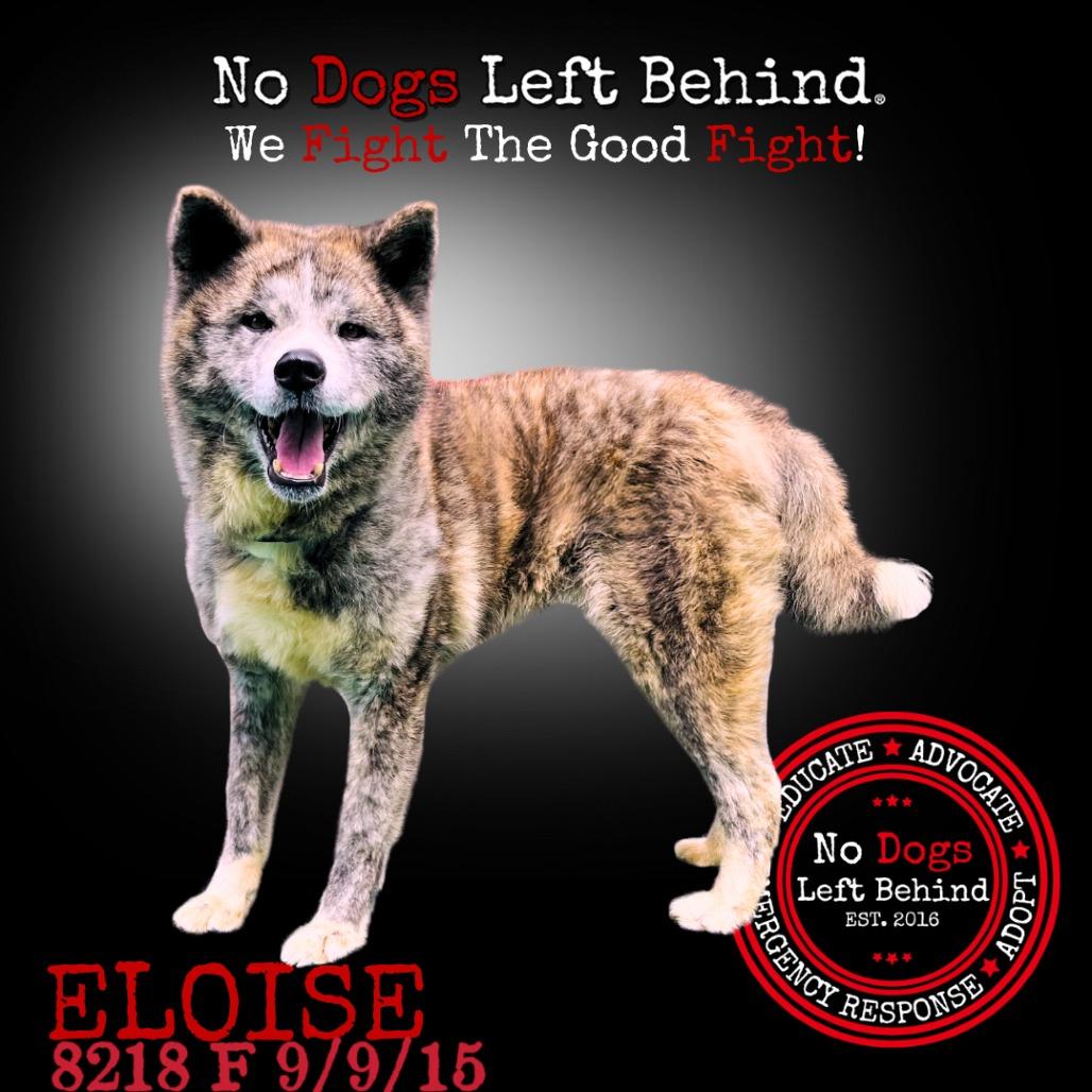Eloise 8218