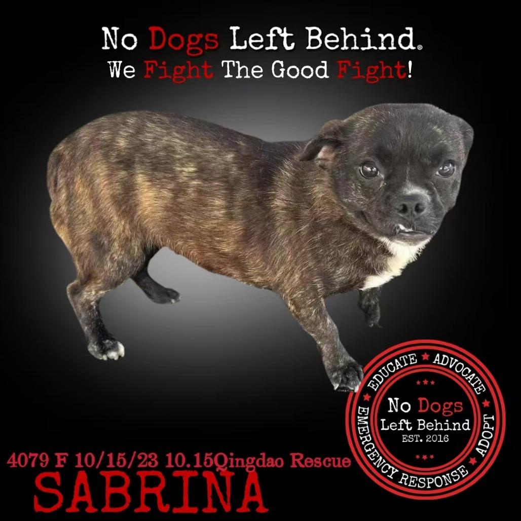 Sabrina 4079