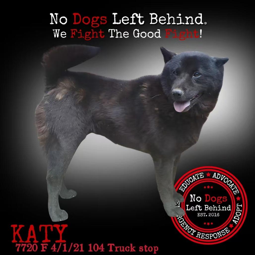 Katy 7720