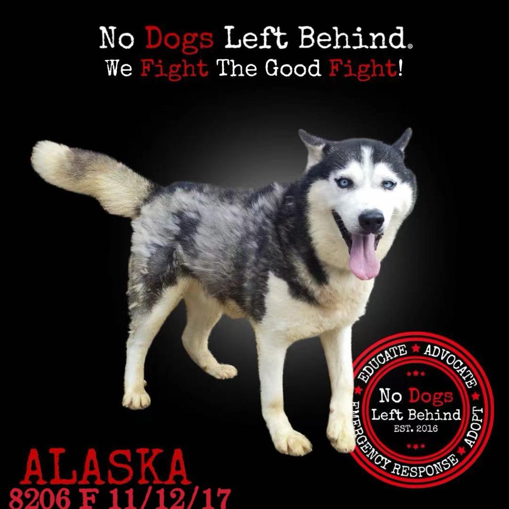 Alaska 8206
