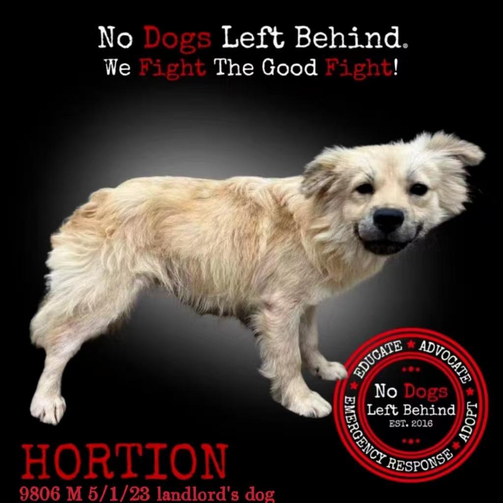 Horton 9806