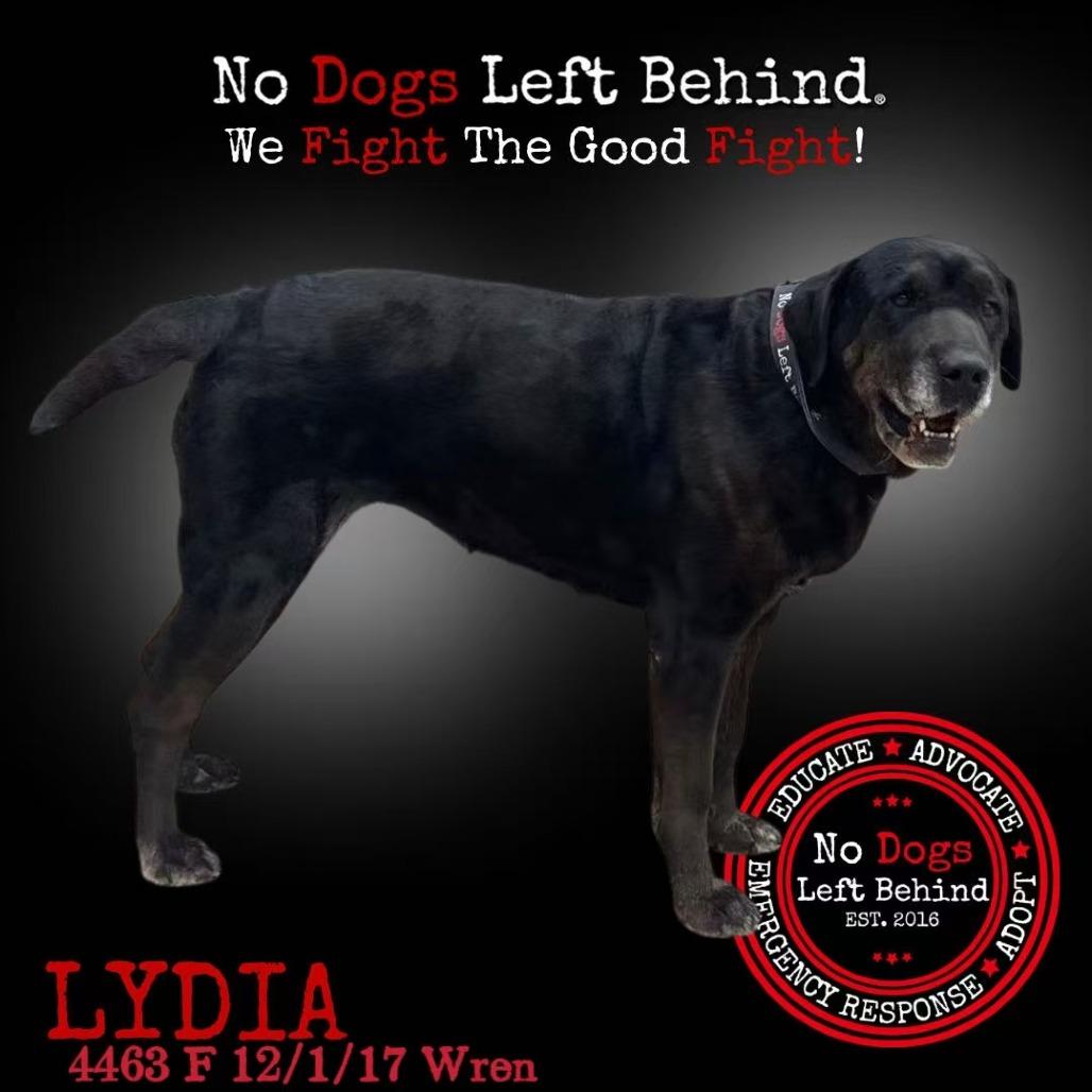 Lydia 4463