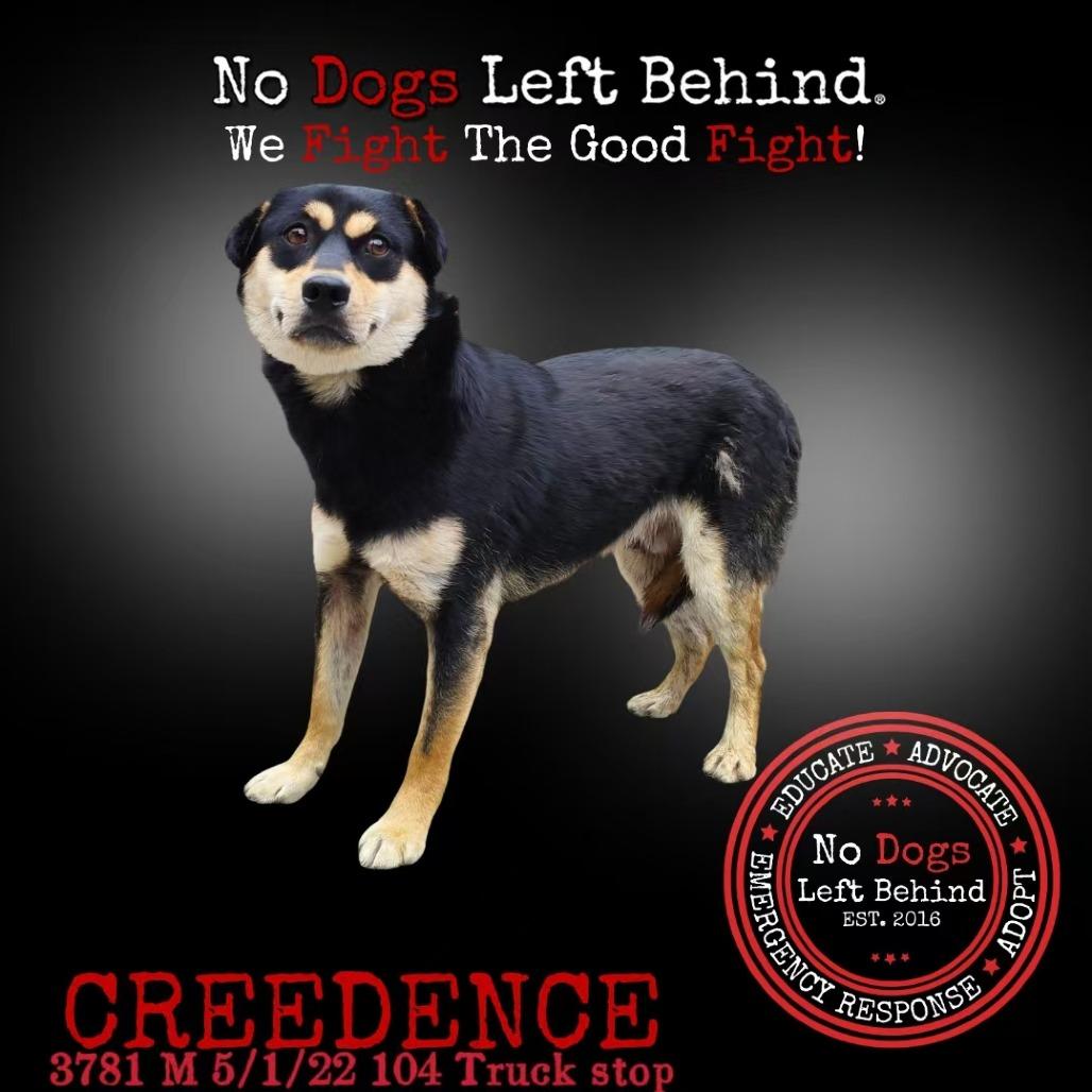 Creedence 3781