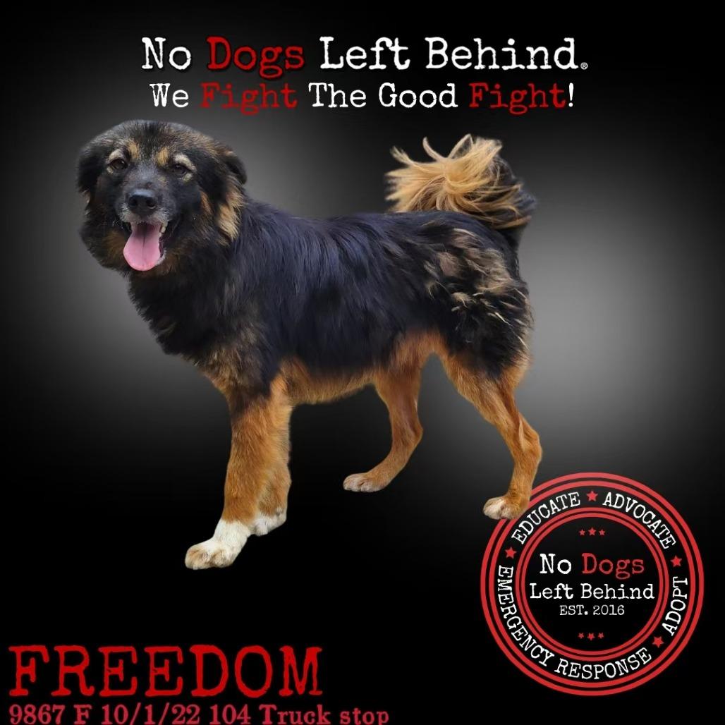 Freedom 9867