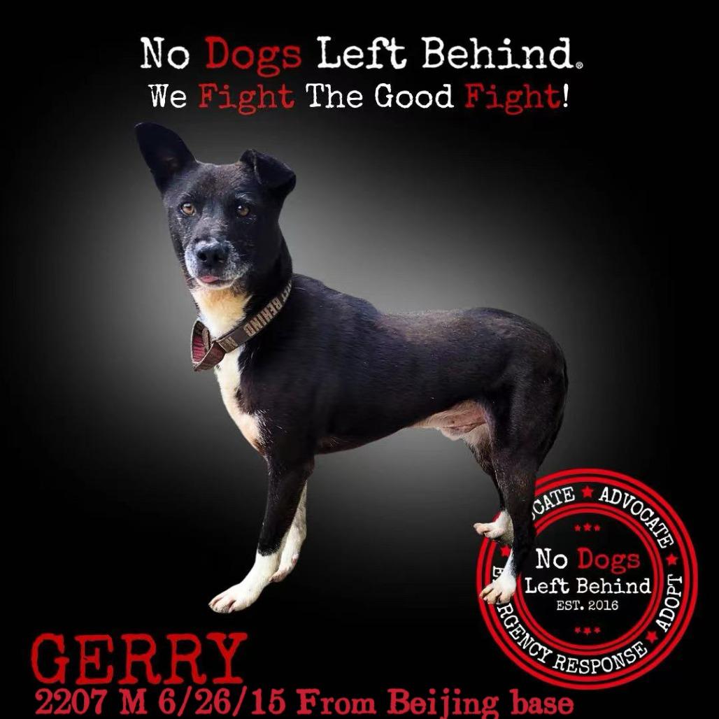 Gerry 2207