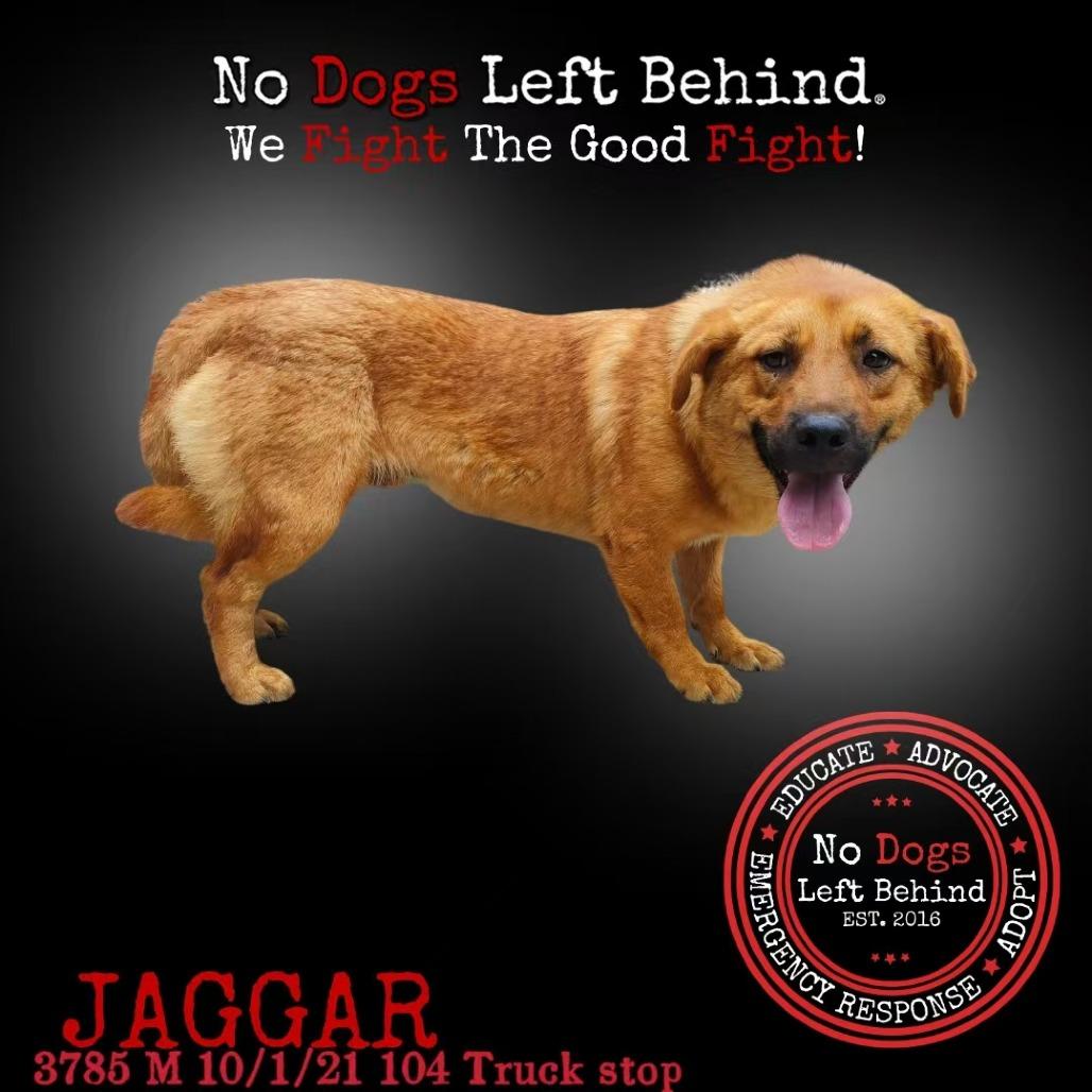 Jaggar 3785