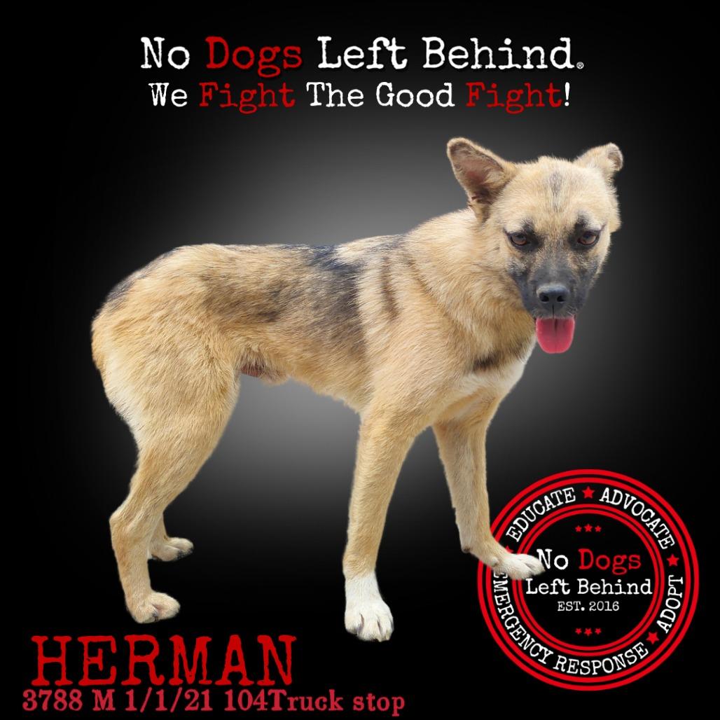 Herman 3788