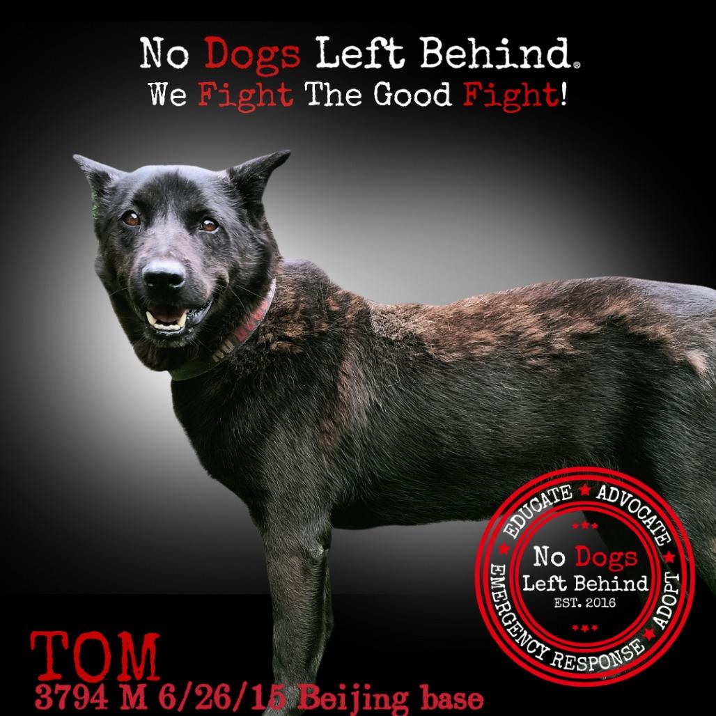 Tom 3794