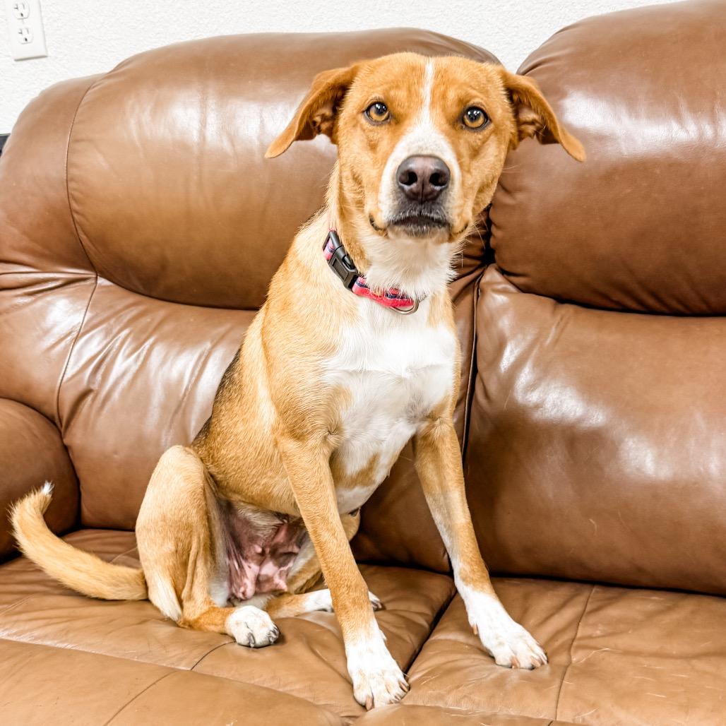 301 (2026) Mama Selina