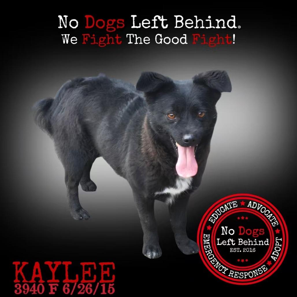 Kaylee 3940