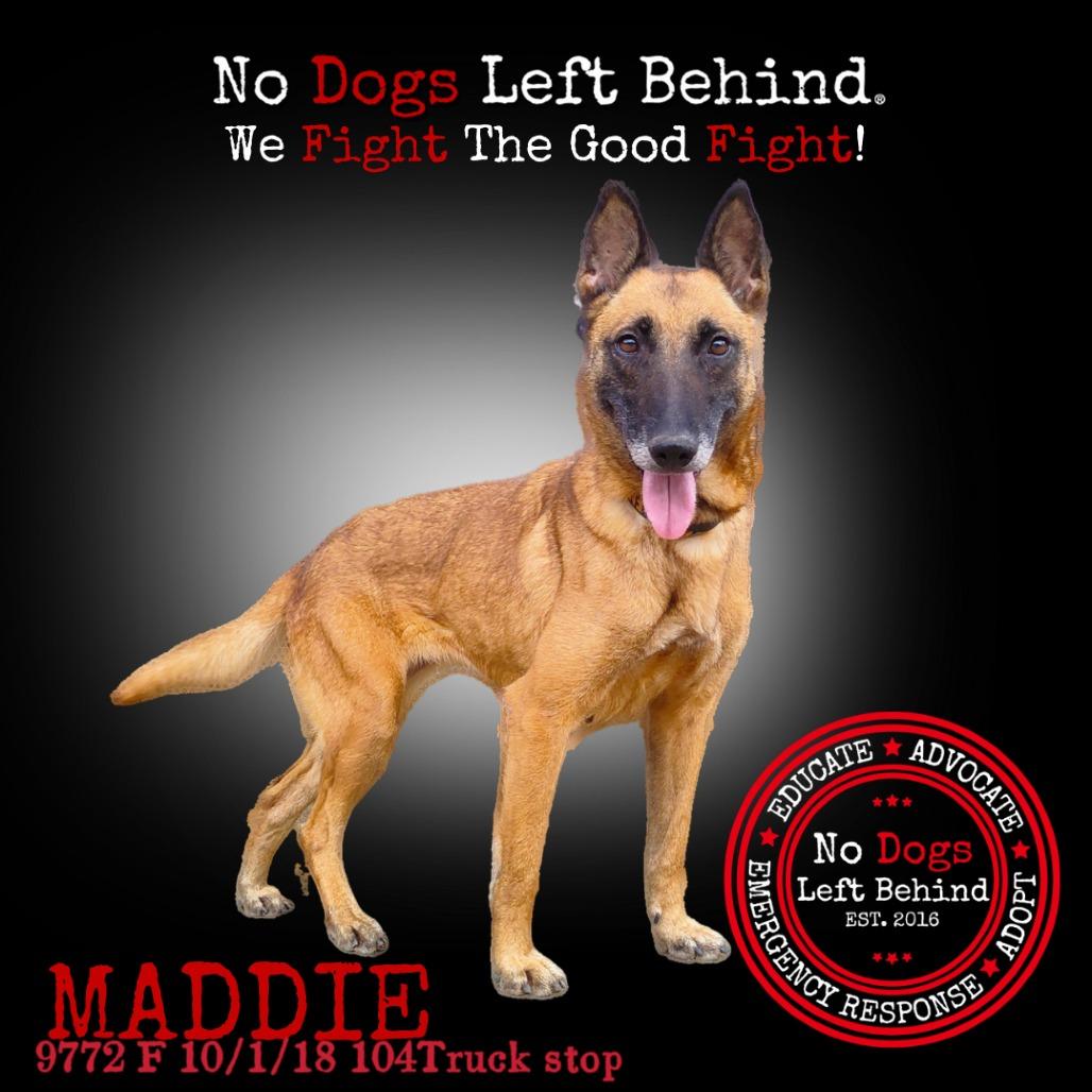Maddie 9772