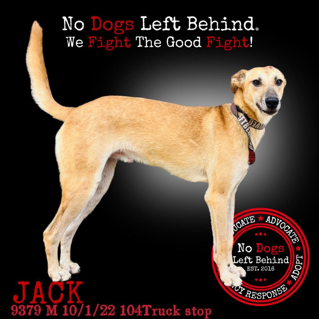 Jack 9379