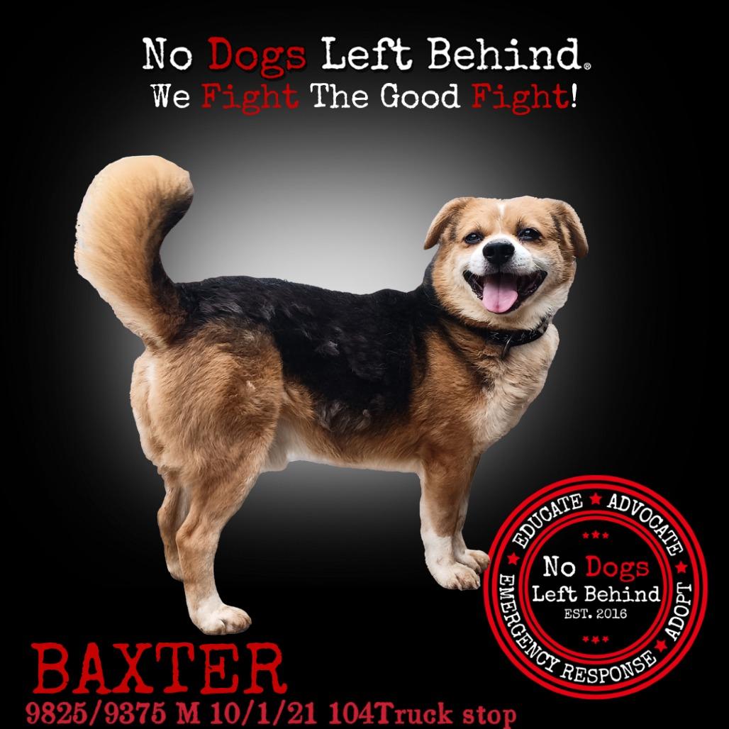 Baxter 9825 9375
