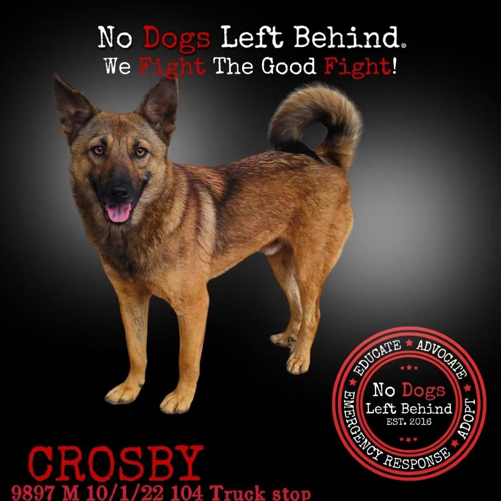 Crosby 9897