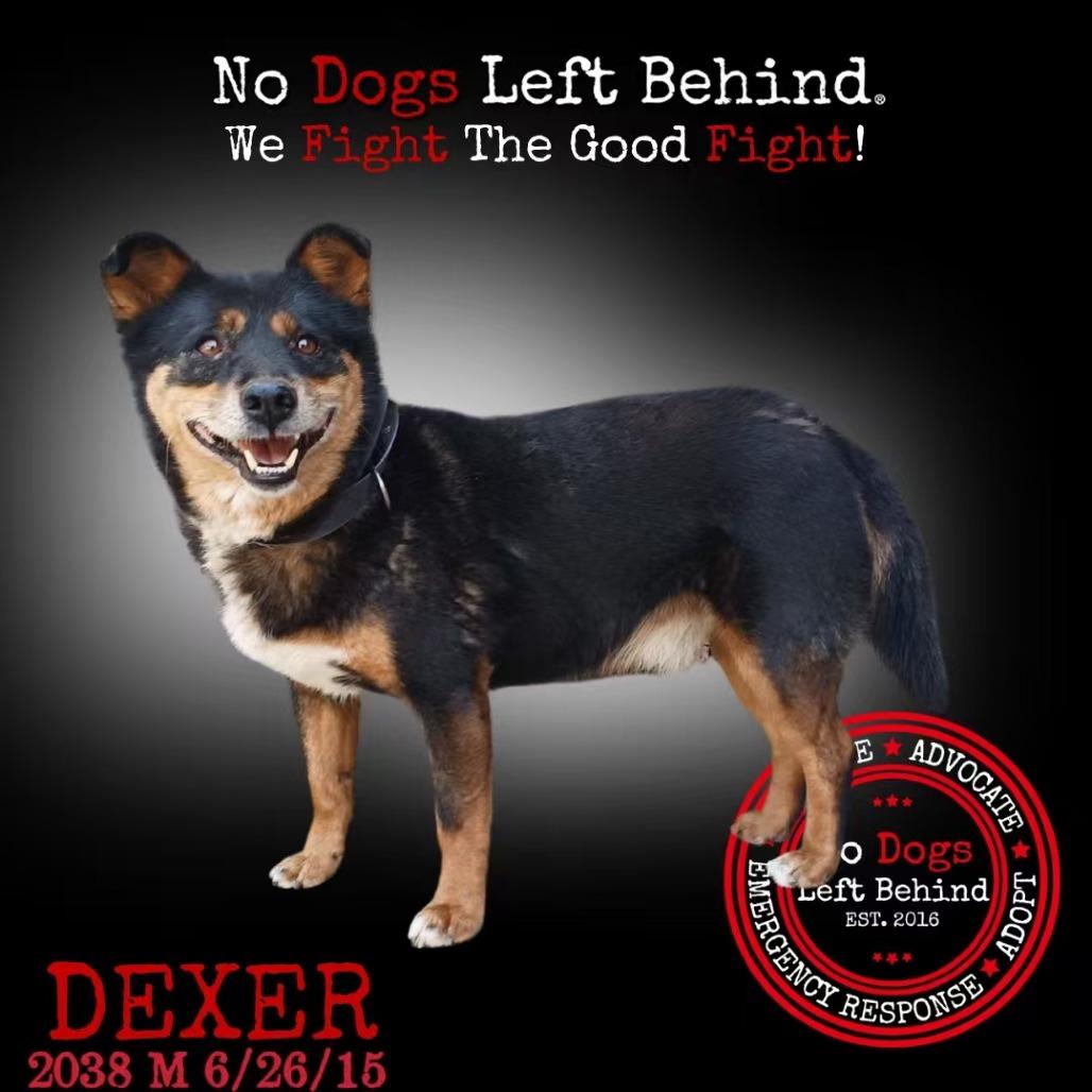 Dexer 2038