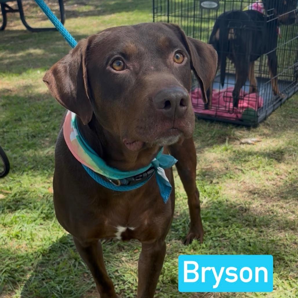 Bryson