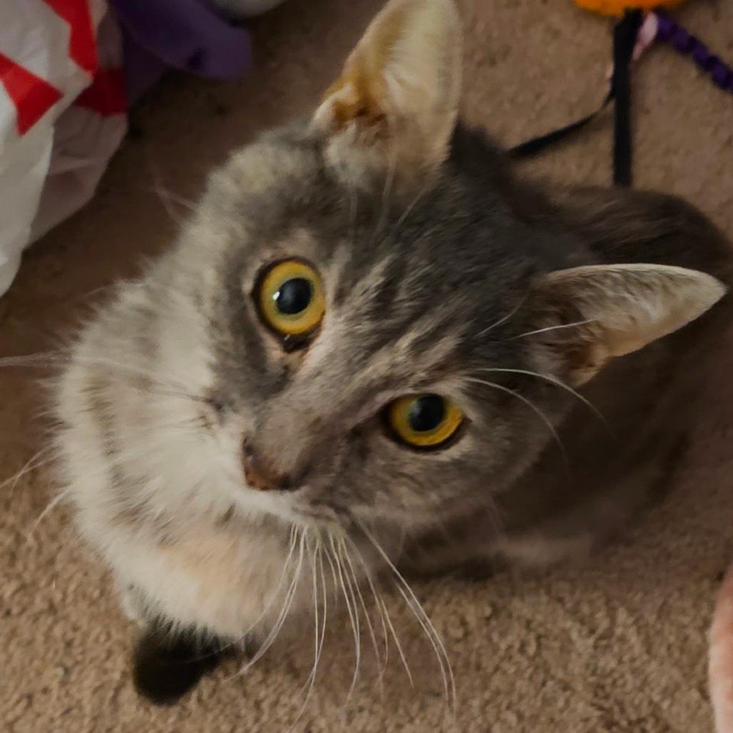 Minnie