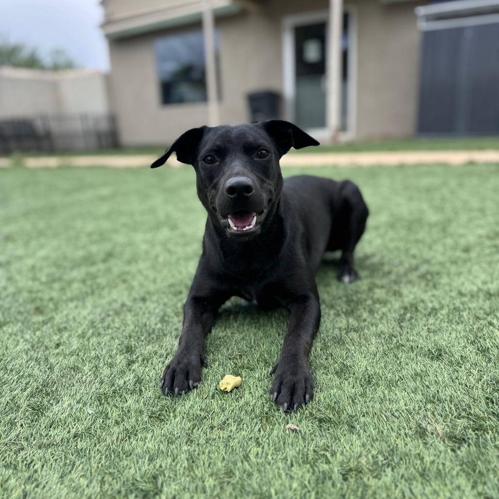 Luna