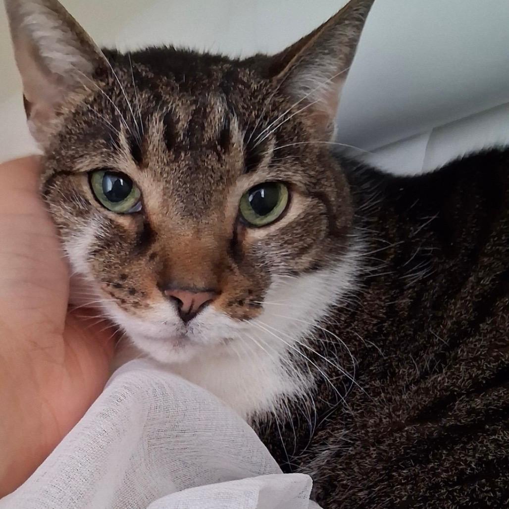 Maggie