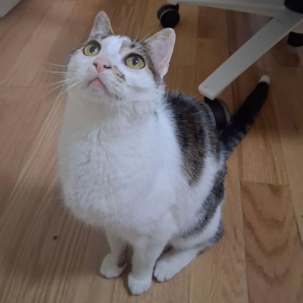 Molly