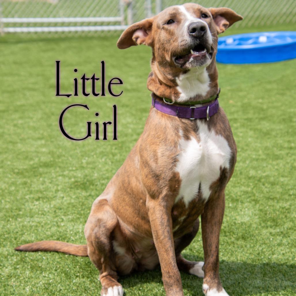 Little Girl