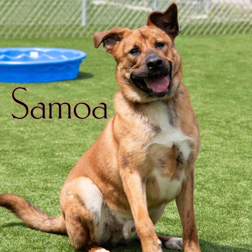 Samoa 