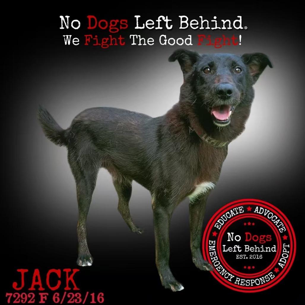 Jack 7292
