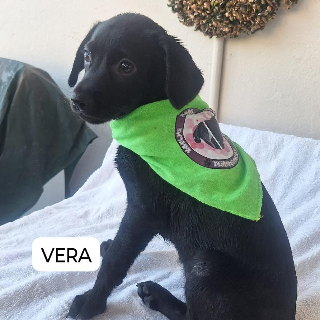 Vera