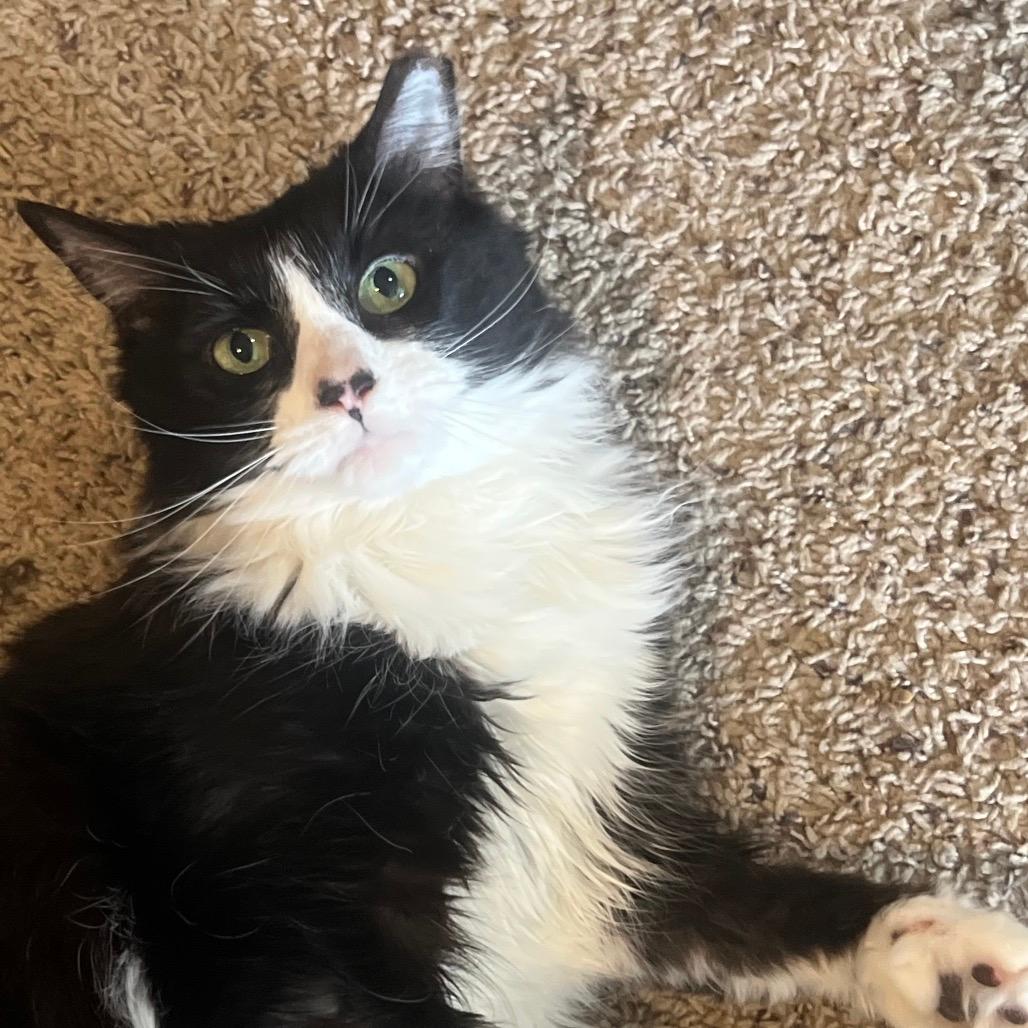 Minnie