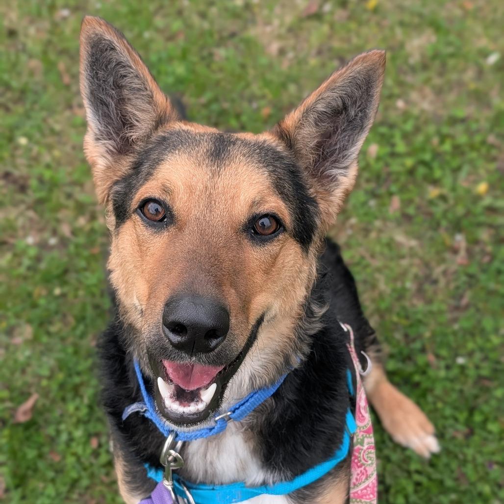 Flynn