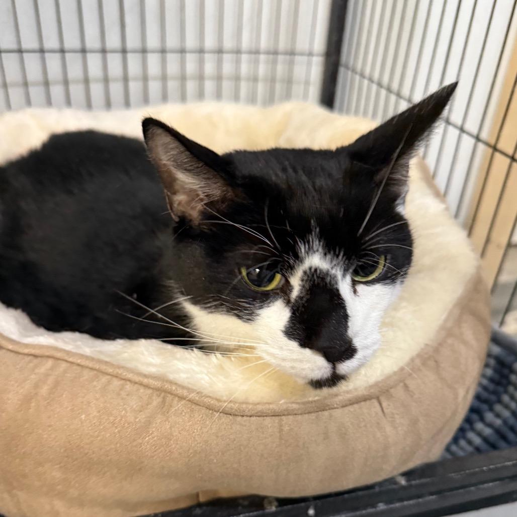 Tux