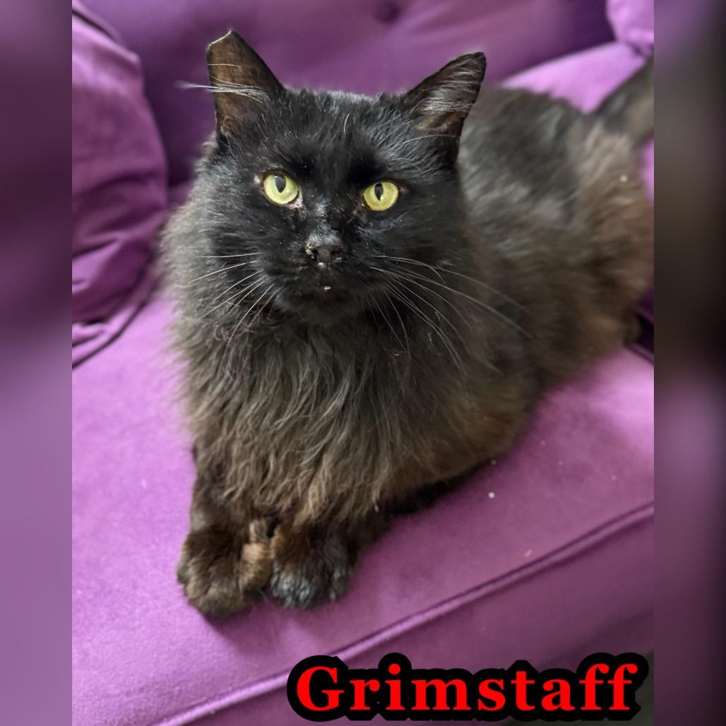 Grimstaff