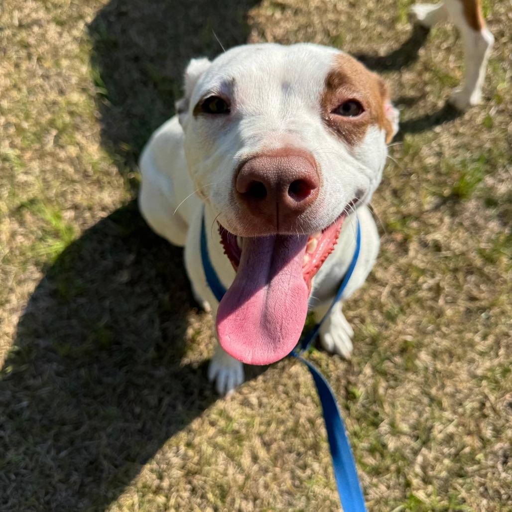 Tilly