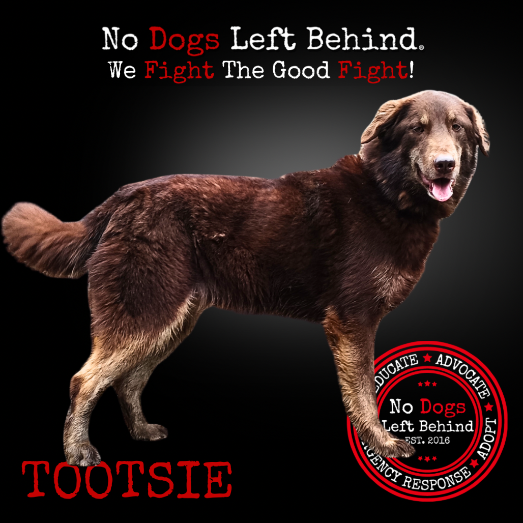 Tootsie 7409