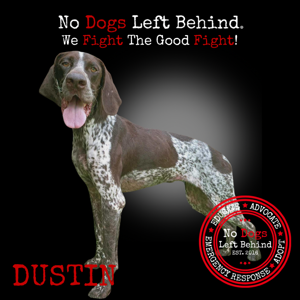 Dustin8339