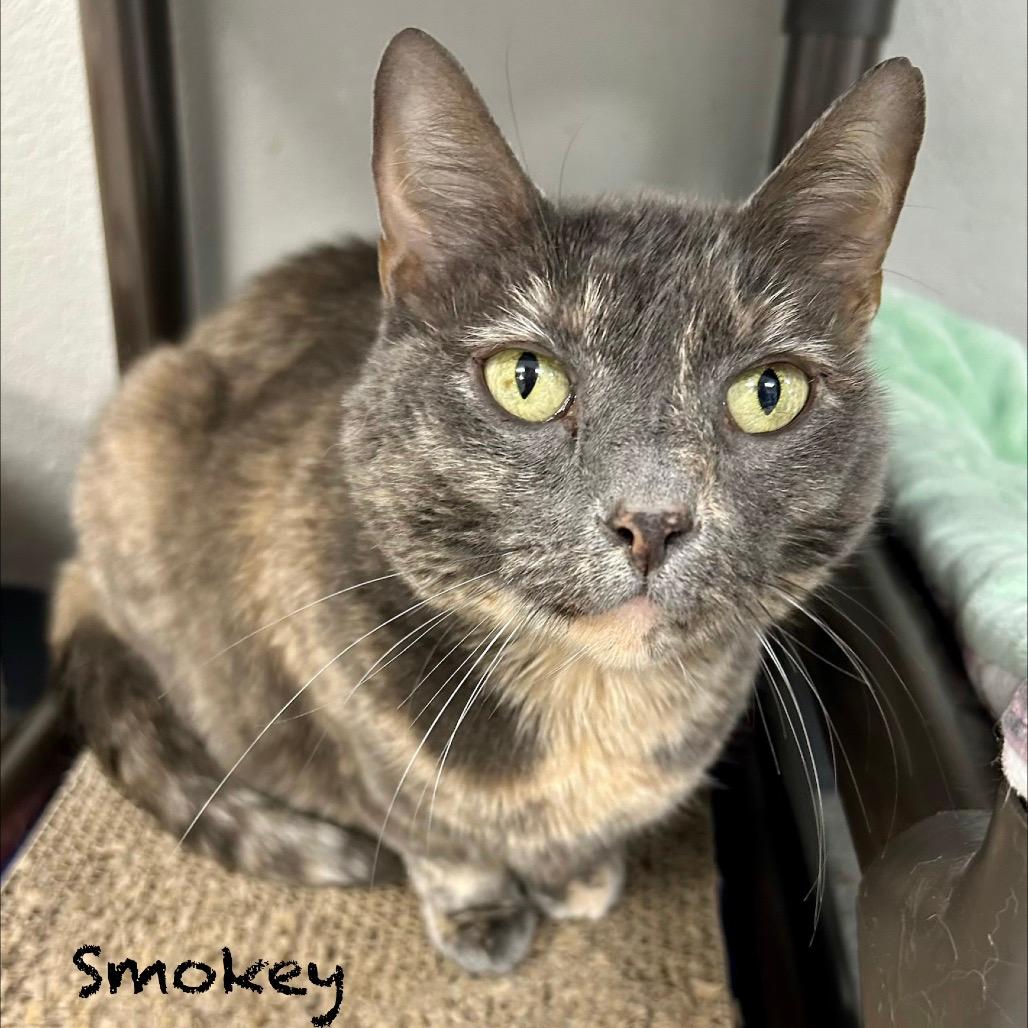 Smokey