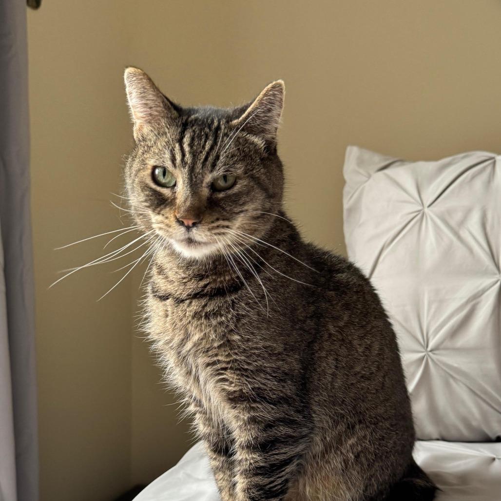 Nixie
