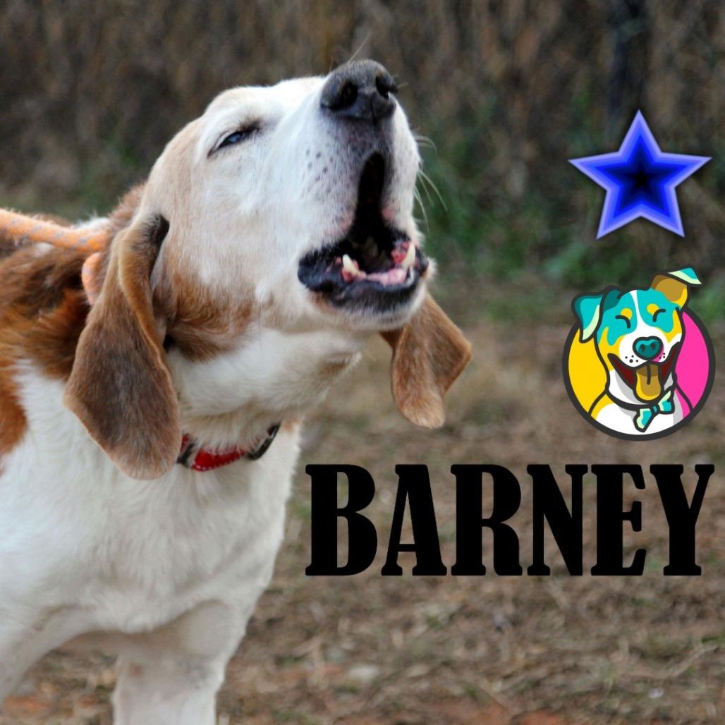 Barney