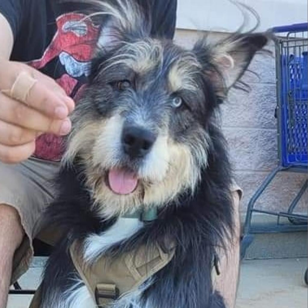 Odin