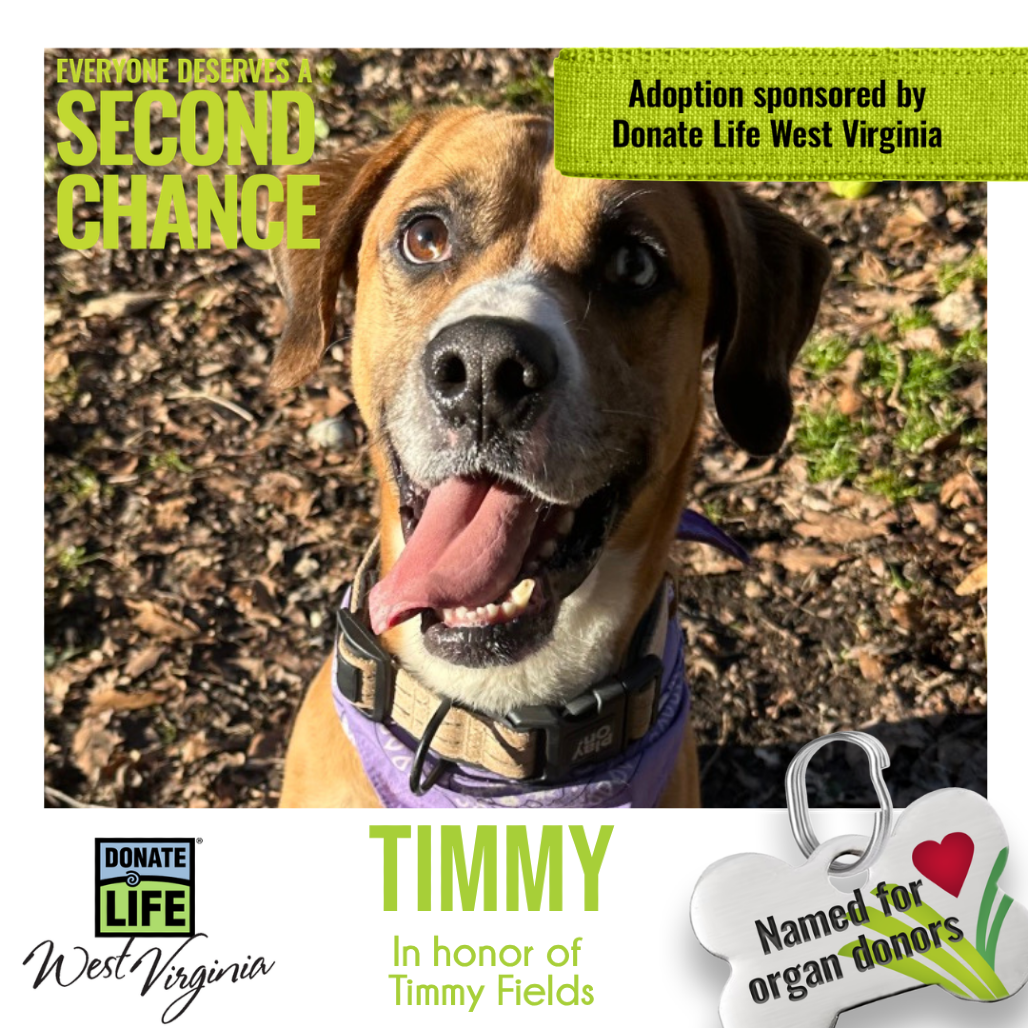 Timmy fka Turkey Lurky